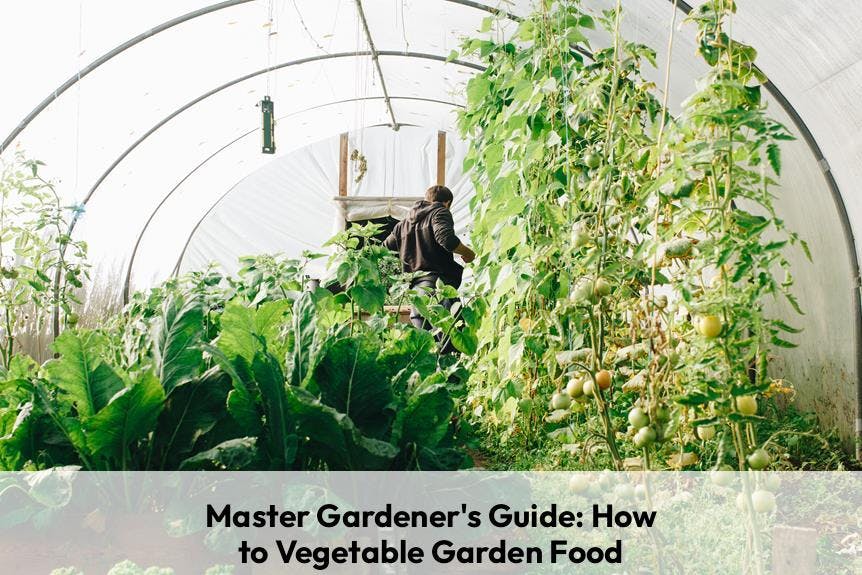 Master Gardeners Guide: How to Vegetable Garden Food