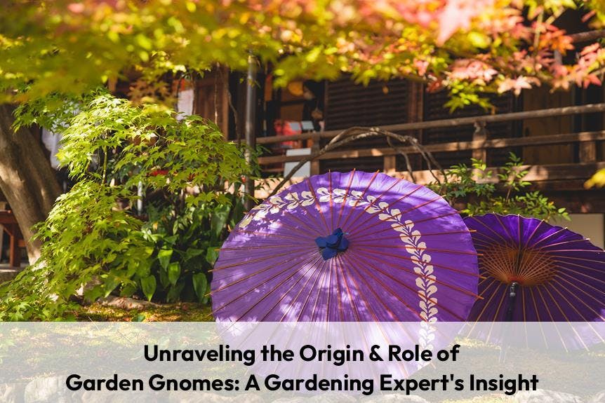 Unraveling the Origin & Role of Garden Gnomes: A Gardening Experts Insight