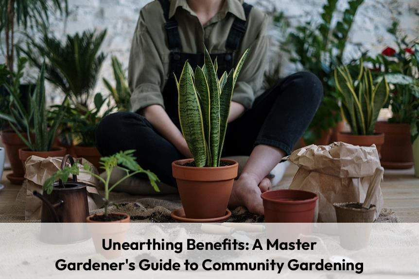 Unearthing Benefits: A Master Gardeners Guide to Community Gardening