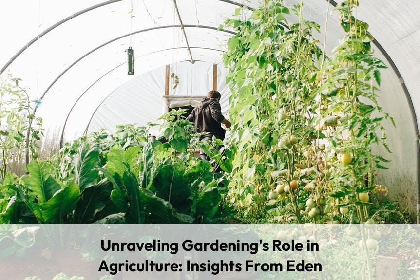 Unraveling Gardenings Role in Agriculture: Insights From Eden