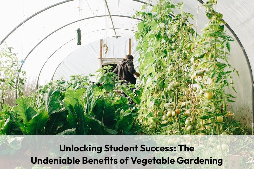 Unlocking Student Success: The Undeniable Benefits of Vegetable Gardening